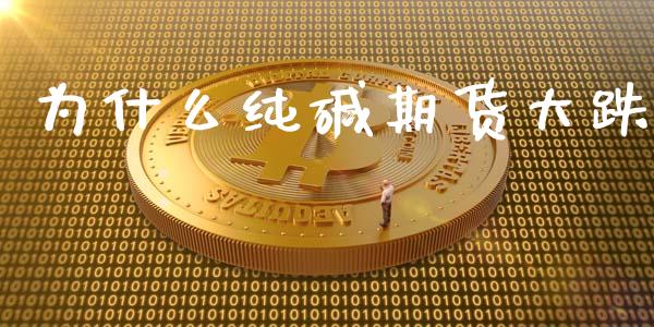 为什么纯碱期货大跌_https://cj004.lansai.wang_外汇交易_第1张