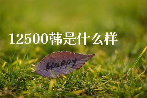 12500韩是什么样_https://cj004.lansai.wang_全球市场_第1张