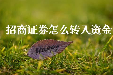 招商证券怎么转入资金_https://cj004.lansai.wang_财经新闻_第1张