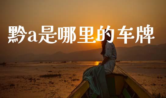 黔a是哪里的车牌_https://cj004.lansai.wang_全球市场_第1张