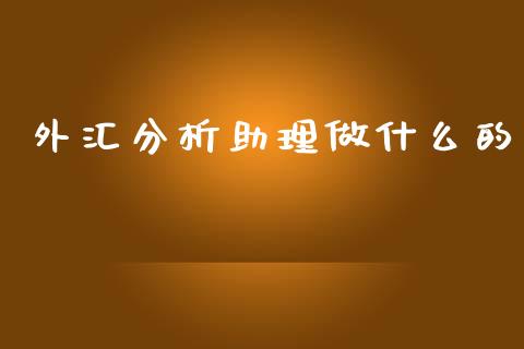 外汇分析助理做什么的_https://cj004.lansai.wang_财经新闻_第1张