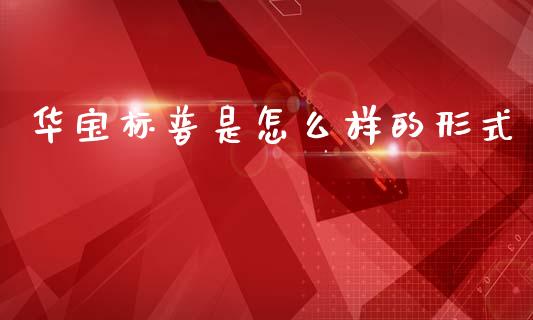 华宝标普是怎么样的形式_https://cj004.lansai.wang_金融监管_第1张