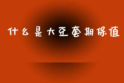 什么是大豆套期保值_https://cj004.lansai.wang_财经新闻_第1张