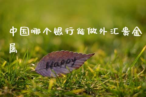 中国哪个银行能做外汇贵金属_https://cj004.lansai.wang_金融监管_第1张