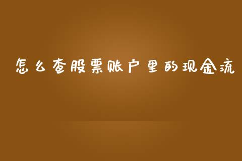 怎么查股票账户里的现金流_https://cj004.lansai.wang_金融监管_第1张
