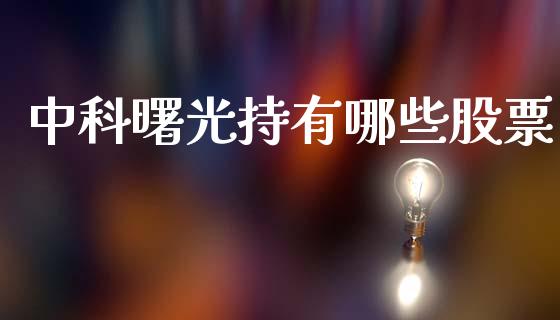 中科曙光持有哪些股票_https://cj004.lansai.wang_金融监管_第1张