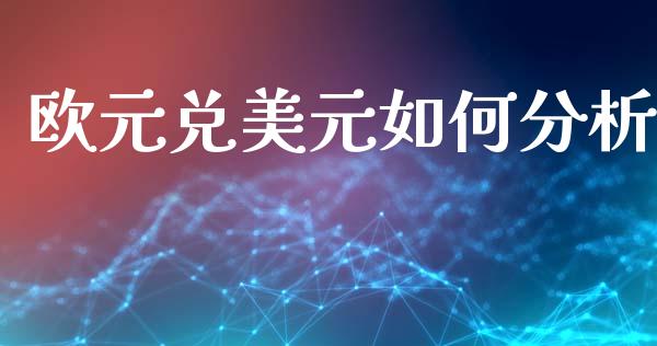 欧元兑美元如何分析_https://cj004.lansai.wang_外汇交易_第1张