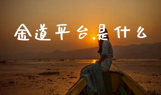 金道平台是什么_https://cj004.lansai.wang_全球市场_第1张