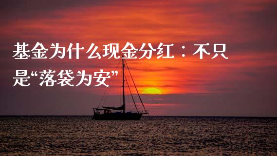 基金为什么现金分红：不只是“落袋为安”_https://cj004.lansai.wang_外汇交易_第1张