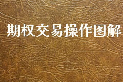 期权交易操作图解_https://cj004.lansai.wang_外汇交易_第1张