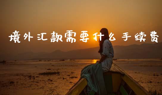 境外汇款需要什么手续费_https://cj004.lansai.wang_财经新闻_第1张