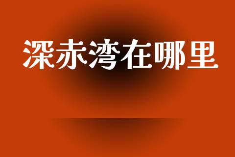 深赤湾在哪里_https://cj004.lansai.wang_外汇交易_第1张