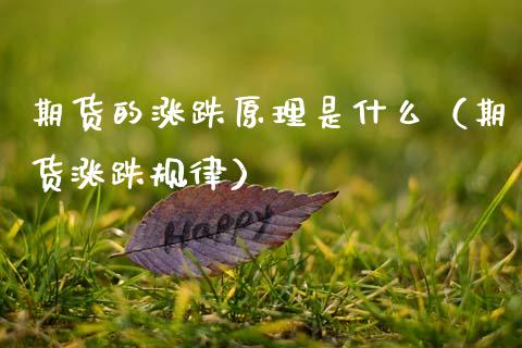 期货的涨跌原理是什么（期货涨跌规律）_https://cj004.lansai.wang_期货开户_第1张