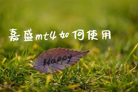 嘉盛mt4如何使用_https://cj004.lansai.wang_金融监管_第1张