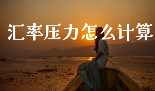汇率压力怎么计算_https://cj004.lansai.wang_期货开户_第1张