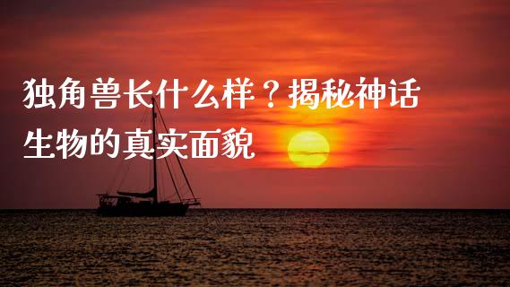 独角兽长什么样？揭秘神话生物的真实面貌_https://cj004.lansai.wang_金融监管_第1张