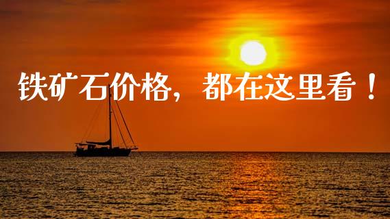 铁矿石价格，都在这里看！_https://cj004.lansai.wang_金融监管_第1张