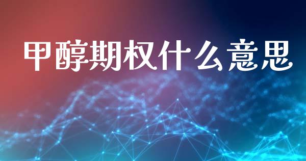 甲醇期权什么意思_https://cj004.lansai.wang_金融监管_第1张