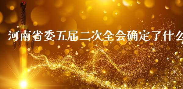 河南省委五届二次全会确定了什么_https://cj004.lansai.wang_外汇交易_第1张