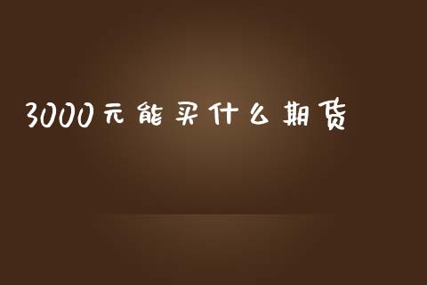 3000元能买什么期货_外汇交易_第1张_期货开户_金融监管_外汇交易_债券资讯_全球市场_财经新闻 3000元能买什么期货_https://cj004.lansai.wang_外汇交易_第1张
