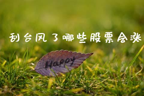 刮台风了哪些股票会涨_https://cj004.lansai.wang_债券资讯_第1张