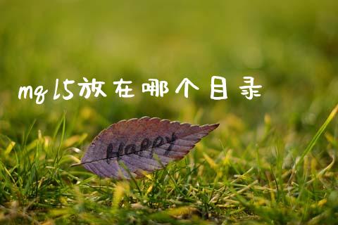 mql5放在哪个目录_https://cj004.lansai.wang_债券资讯_第1张