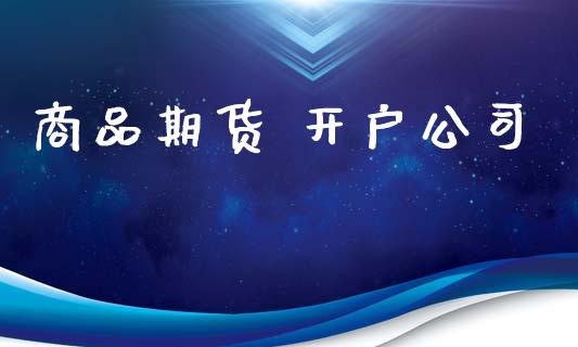 商品期货 开户公司_https://cj004.lansai.wang_金融监管_第1张