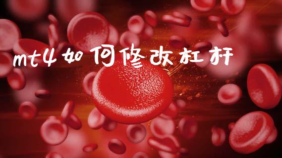 mt4如何修改杠杆_https://cj004.lansai.wang_期货开户_第1张