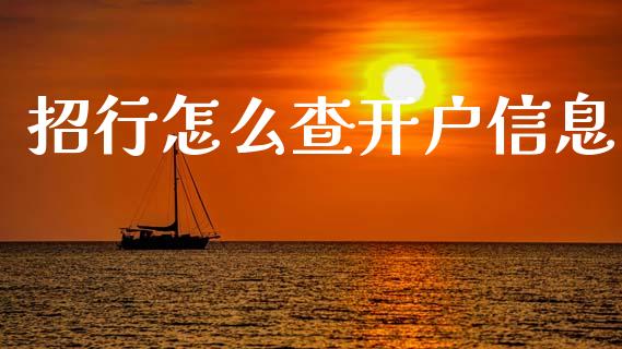 招行怎么查开户信息_https://cj004.lansai.wang_期货开户_第1张