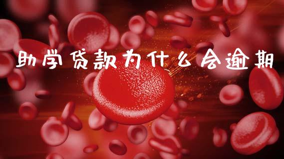 助学贷款为什么会逾期_https://cj004.lansai.wang_财经新闻_第1张