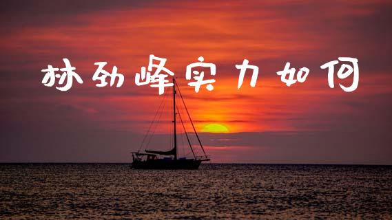 林劲峰实力如何_https://cj004.lansai.wang_金融监管_第1张
