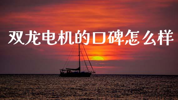 双龙电机的口碑怎么样_https://cj004.lansai.wang_债券资讯_第1张
