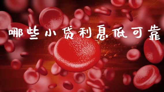 哪些小贷利息低可靠_https://cj004.lansai.wang_财经新闻_第1张