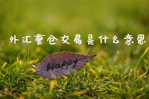 外汇重仓交易是什么意思_https://cj004.lansai.wang_金融监管_第1张
