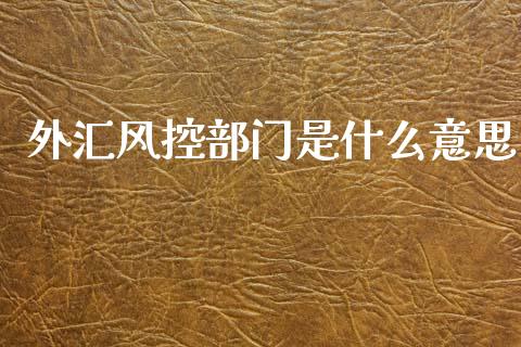 外汇风控部门是什么意思_https://cj004.lansai.wang_财经新闻_第1张