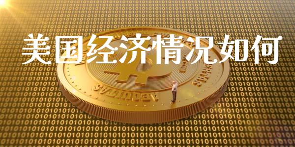 美国经济情况如何_https://cj004.lansai.wang_财经新闻_第1张