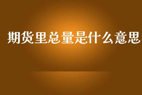 期货里总量是什么意思_https://cj004.lansai.wang_债券资讯_第1张