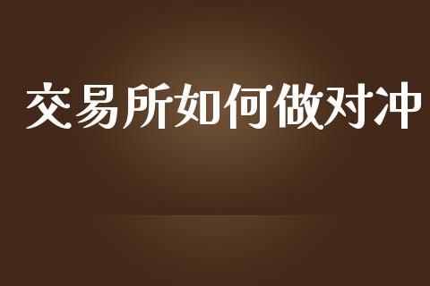 交易所如何做对冲_https://cj004.lansai.wang_金融监管_第1张