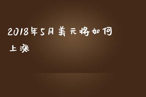 2018年5月美元将如何上涨_https://cj004.lansai.wang_期货开户_第1张