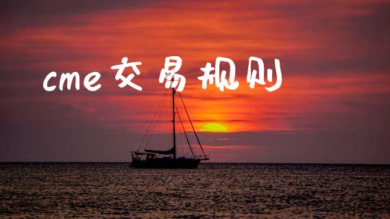 cme交易规则_https://cj004.lansai.wang_金融监管_第1张