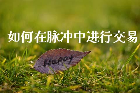 如何在脉冲中进行交易_https://cj004.lansai.wang_期货开户_第1张