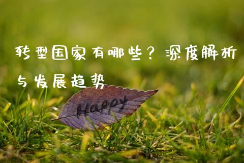 转型国家有哪些？深度解析与发展趋势_https://cj004.lansai.wang_债券资讯_第1张