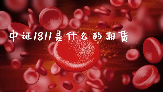 中证1811是什么的期货_https://cj004.lansai.wang_期货开户_第1张