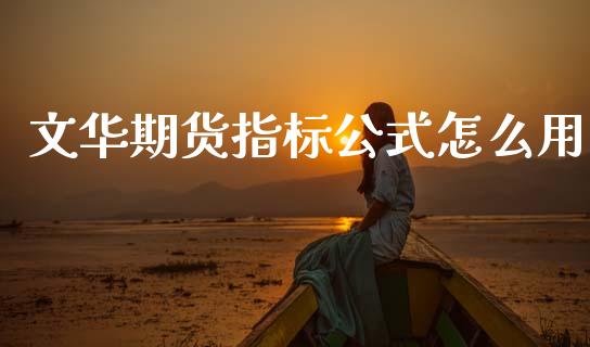文华期货指标公式怎么用_https://cj004.lansai.wang_债券资讯_第1张