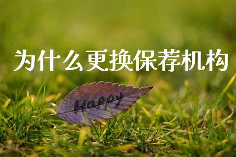 为什么更换保荐机构_https://cj004.lansai.wang_外汇交易_第1张