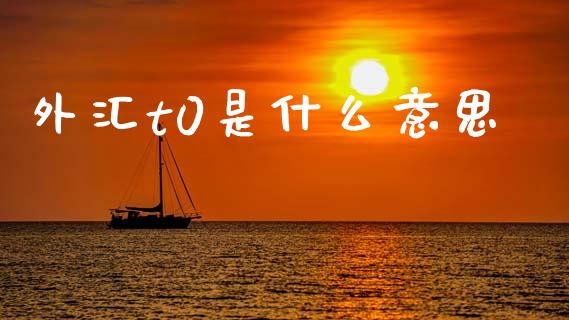外汇t0是什么意思_https://cj004.lansai.wang_债券资讯_第1张