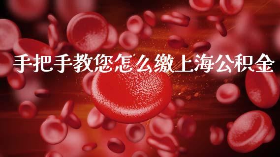 手把手教您怎么缴上海公积金_https://cj004.lansai.wang_期货开户_第1张