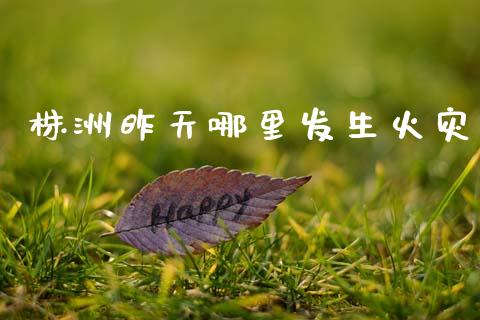 株洲昨天哪里发生火灾_https://cj004.lansai.wang_全球市场_第1张