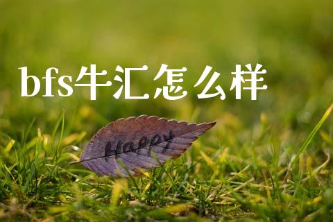bfs牛汇怎么样_https://cj004.lansai.wang_财经新闻_第1张
