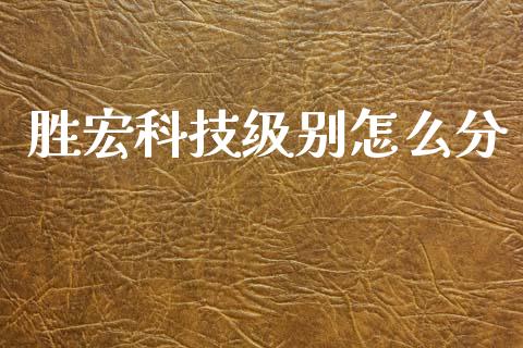 胜宏科技级别怎么分_https://cj004.lansai.wang_金融监管_第1张